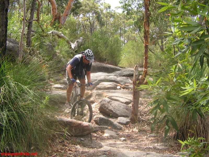 20061210-Lindfield 040 